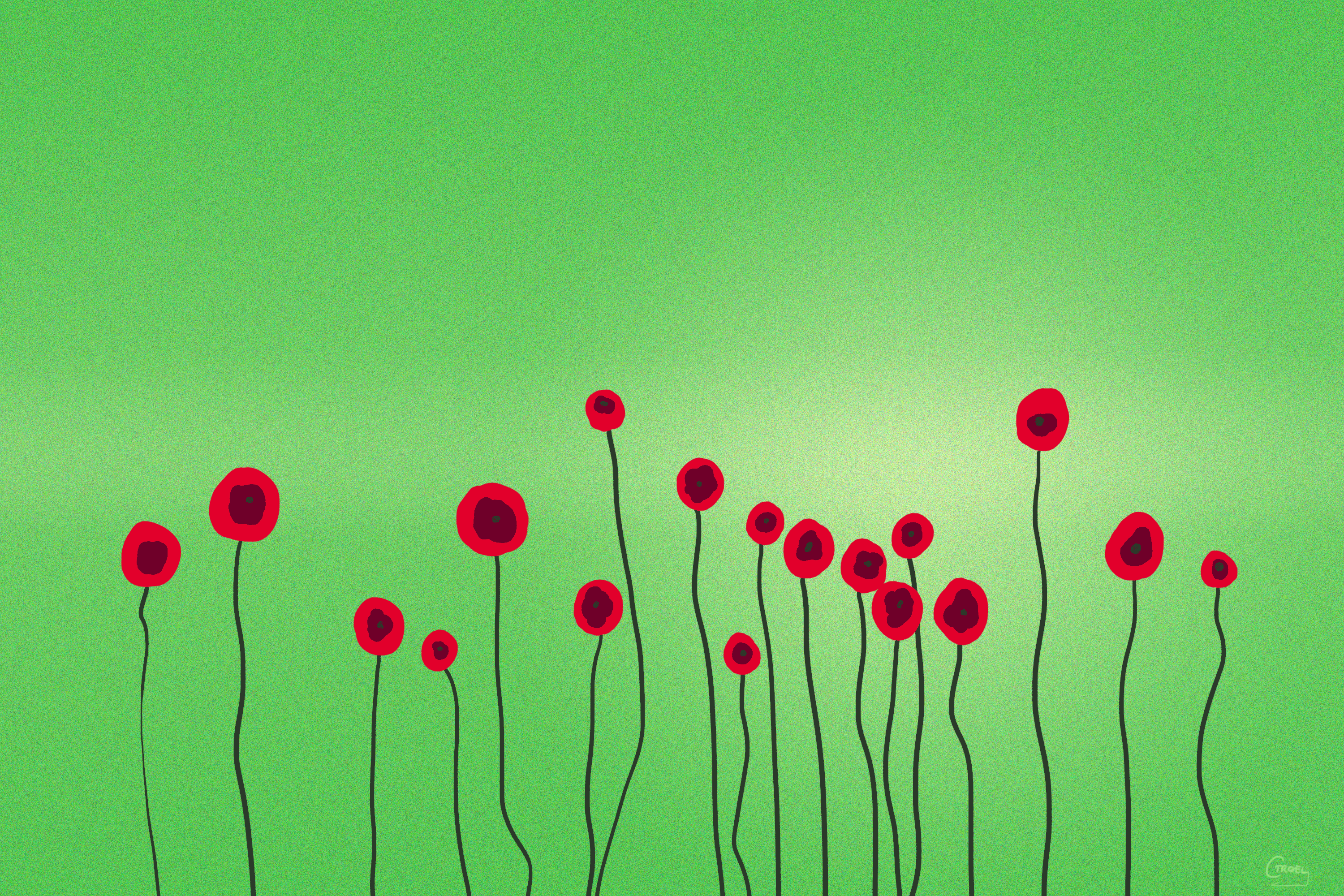 Coquelicots.gif